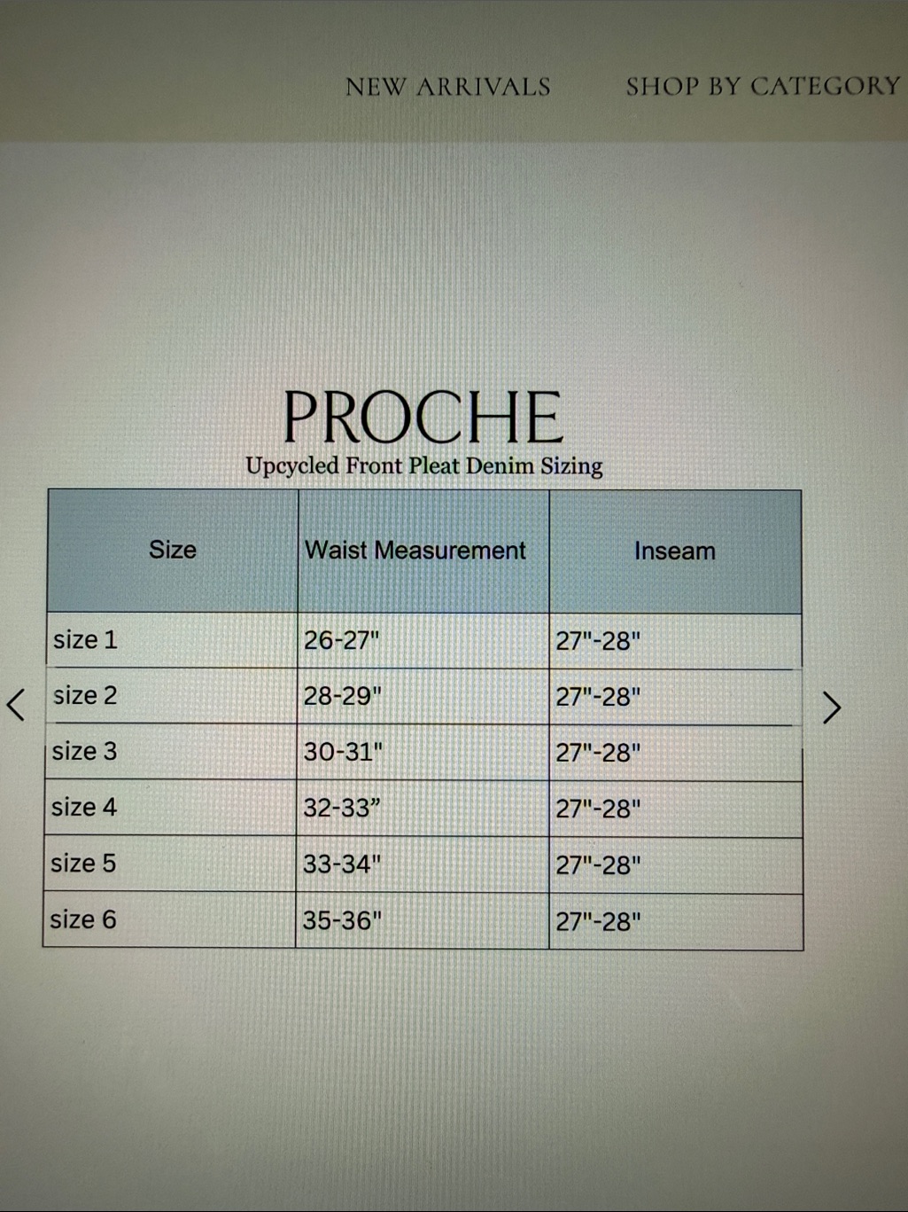 Proche Upcycled Front Pleat Jeans — image 5 of 8